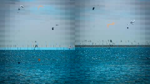 Istock 2154743463 (1)