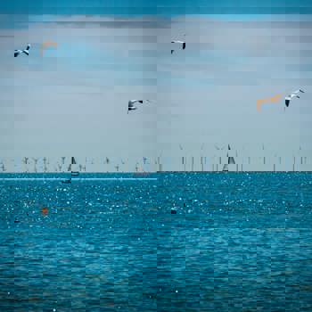 Istock 2154743463 (1)