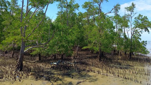 GSMA MEL 20230618 111153