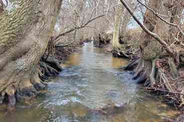 20211222 131054 Compressed