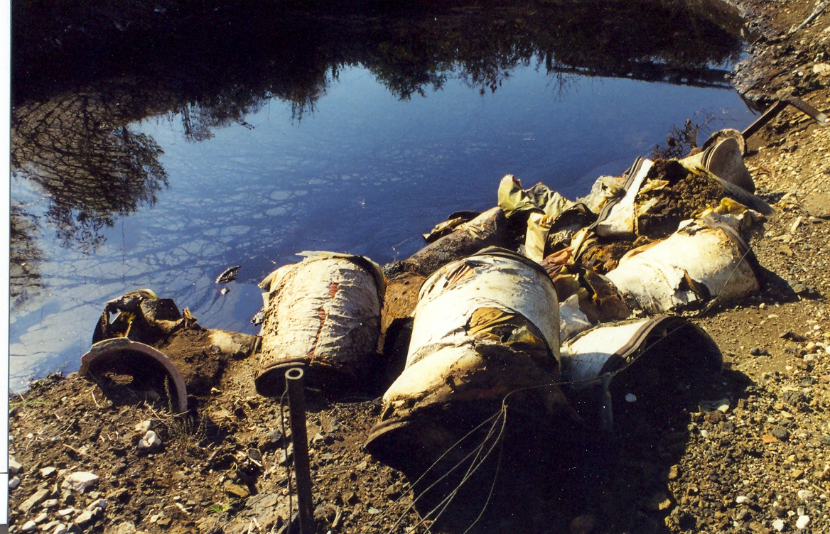 Lake Pollution NS 04192