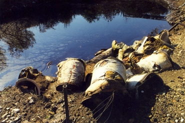 Lake Pollution NS 04192