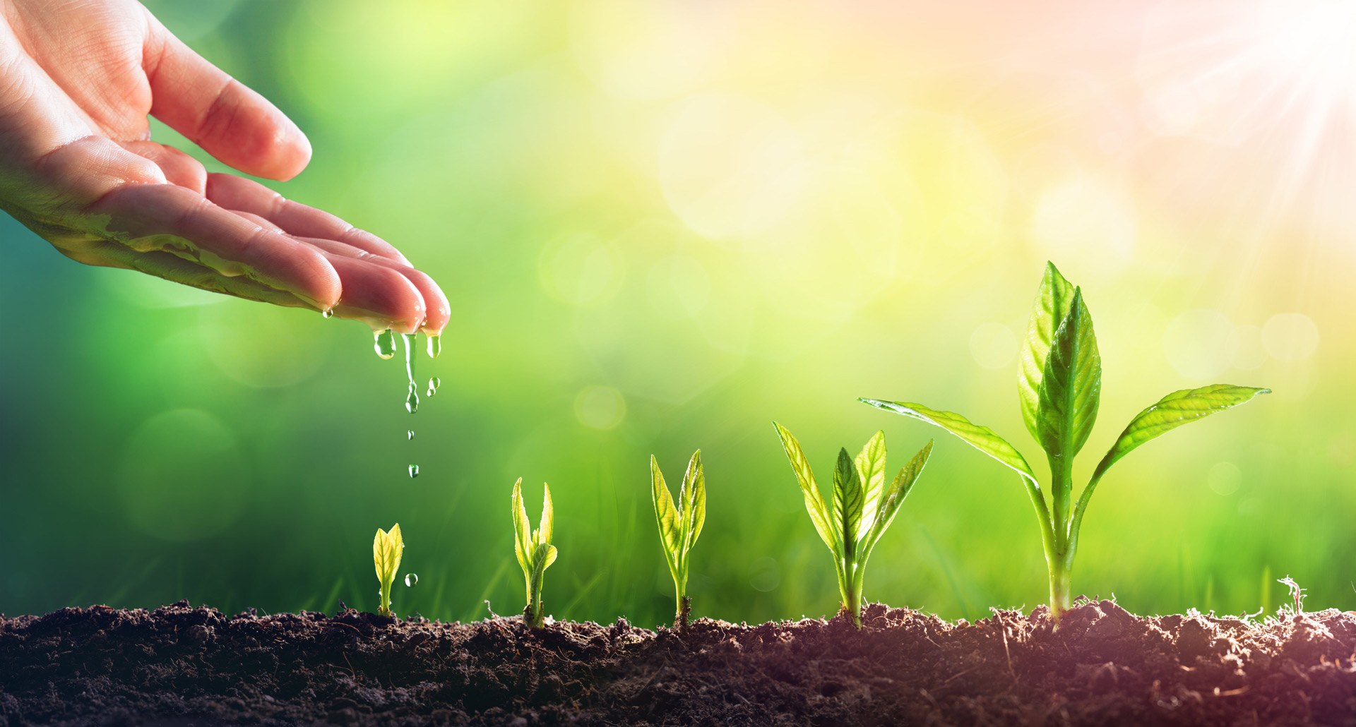 Hand Seeds Compress Istock 1126962479 Ny