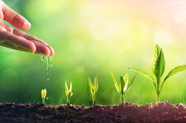 Hand Seeds Compress Istock 1126962479 Ny