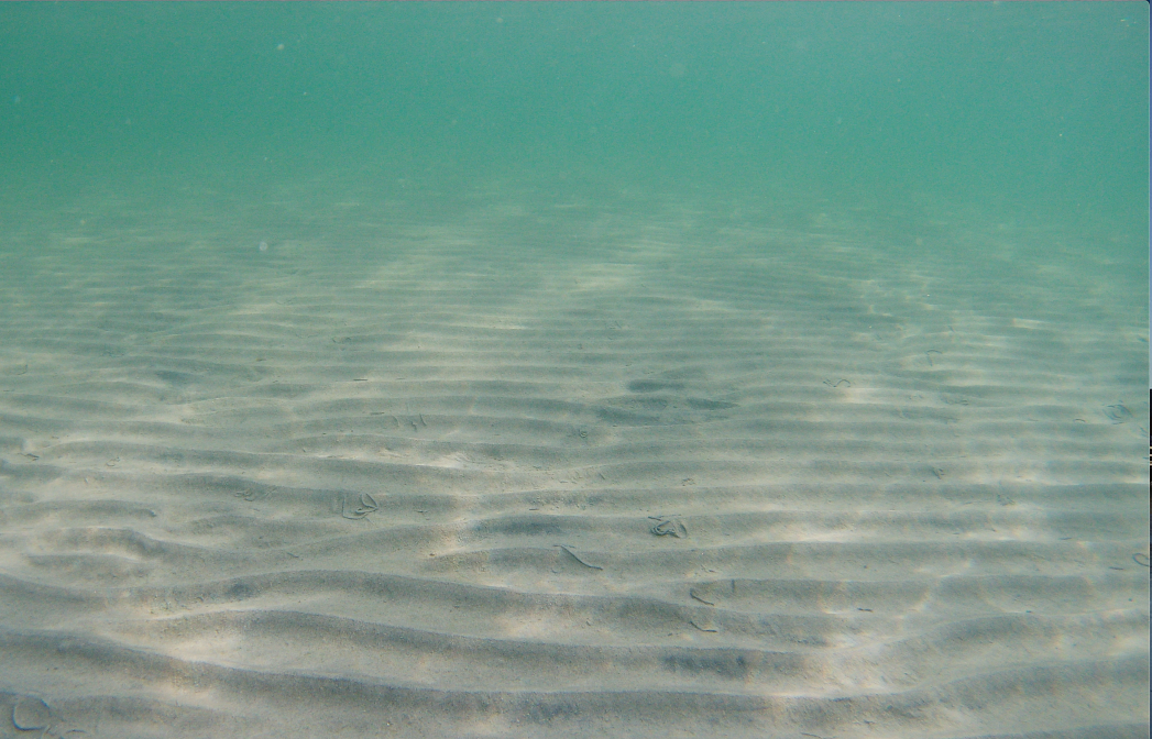 Kustmiljö Sandbotten