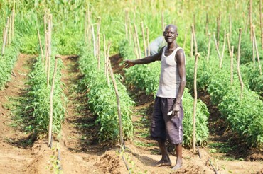 Emidio Regol South Sudan Niras (1)