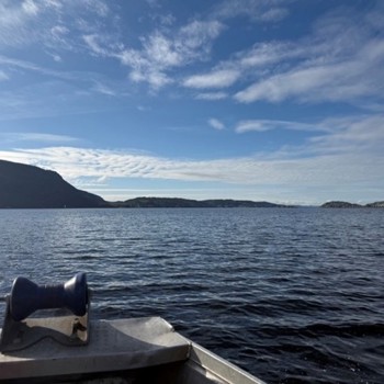 Picture1 Drammensfjorden