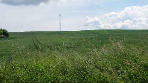 Telemast Project Web