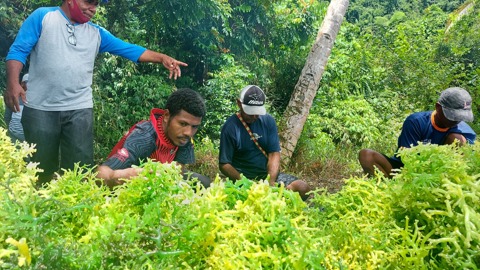 5. Pak Dominggus Masyewi, The Head Of Fisheries Dept, Wondama District