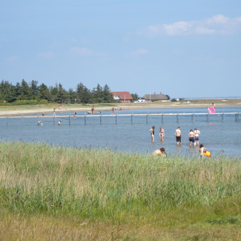 Lolland Badevand Case