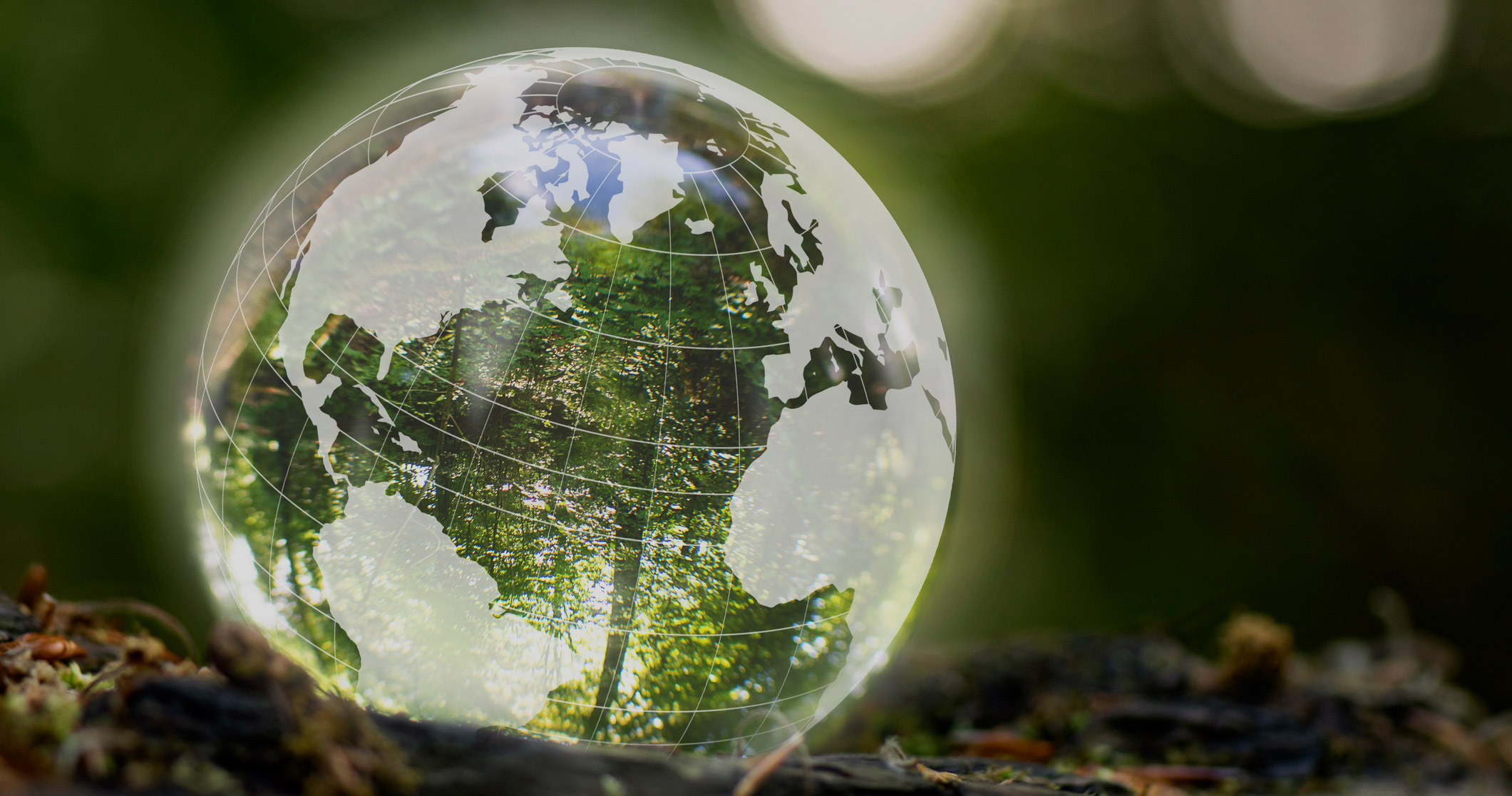 Energidata I Csrd Rapportering2