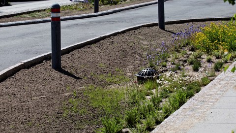 Road With Sidewalk Ns 08407 Photo Betina Garcia