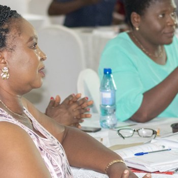 Strengthening governance in Malawi's agriculture sector