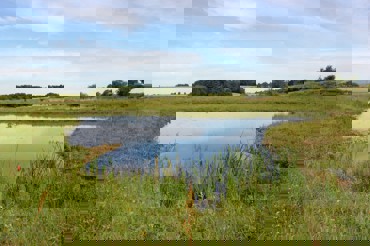 box image