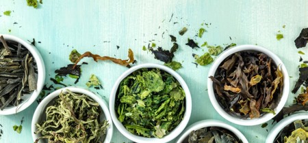 Alternative Proteins Food And Beverage Niras