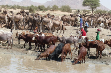 Eu Framework Contracts Food Security In Chad