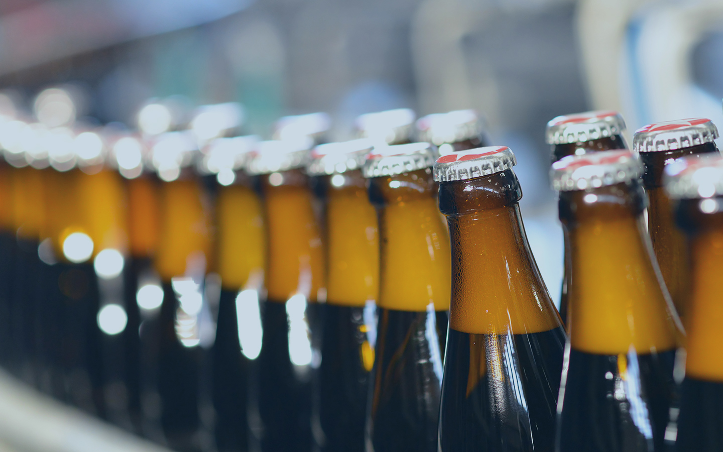 A row of brown glass beer bottles with metal caps moving along a production line in a brewery, with a blurred background.