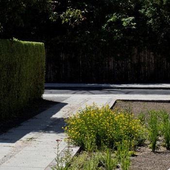 Sidewalk Ns 08408 Photo Betina Garcia