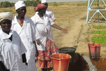 Sustainable Development Programme for the Inner Delta of the Niger River