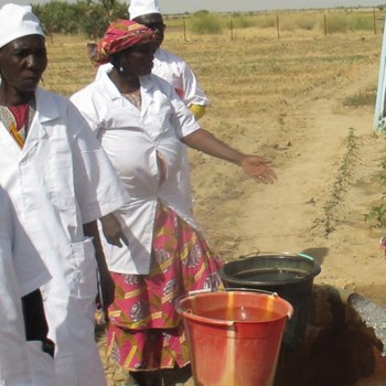 Sustainable Development Programme for the Inner Delta of the Niger River