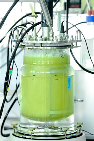 Bioreaktor i et af Electrochaeas laboratorier. Foto: ©Electrochaea GmbH.