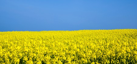 Ukraine Istock 187934701