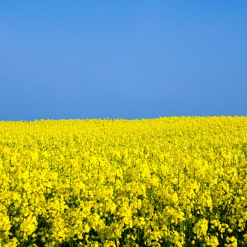Ukraine Istock 187934701