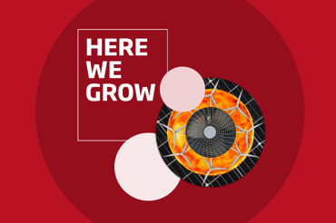 Here We Grow Related3