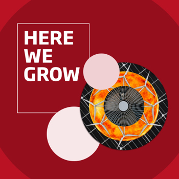 Here We Grow Related3