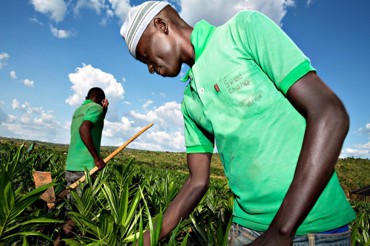 Agriculture - Niras