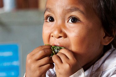 Nutrition-Sensitive Agriculture Programme (NUSAP) Launch