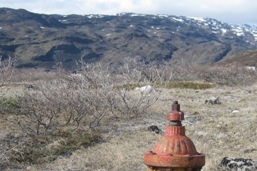 Narsarsuaq Juni2011 016
