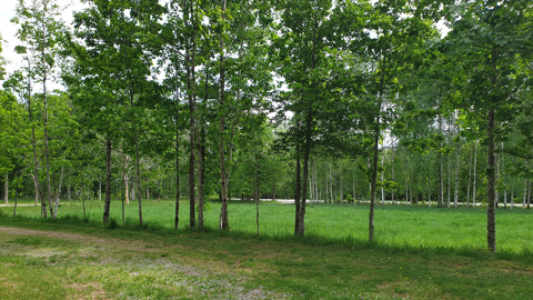 20230601 132421 Mindre