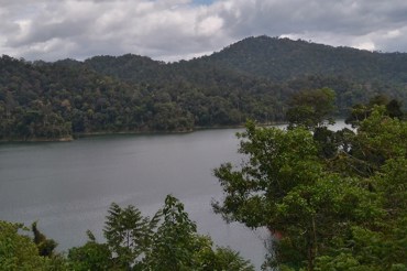 Progress in ASEAN biodiversity protection efforts