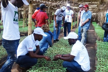 Planted Forest Grant Scheme (PFGS) project