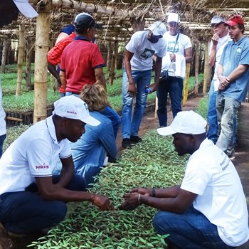 Planted Forest Grant Scheme (PFGS) project