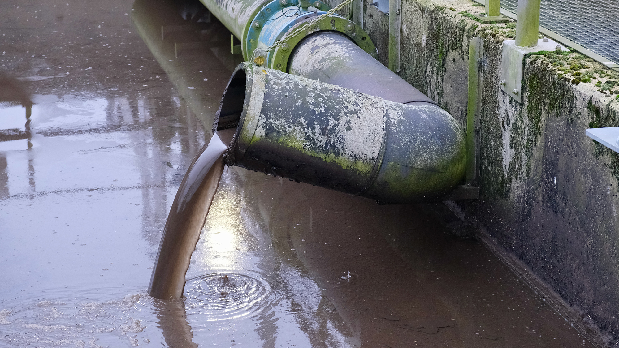 Renseanlag NS 13370 Photo Gitte Svarre Nabe Kristensen Mindre