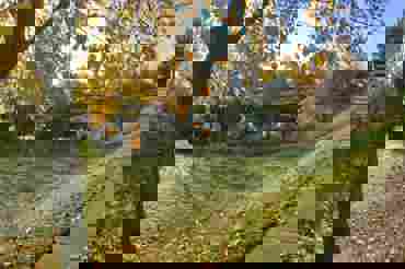 box image