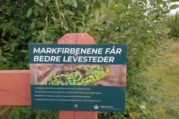 Markfirben Skilt