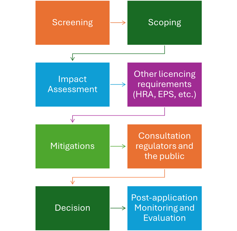 Marine licensing design process