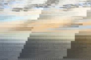 box image