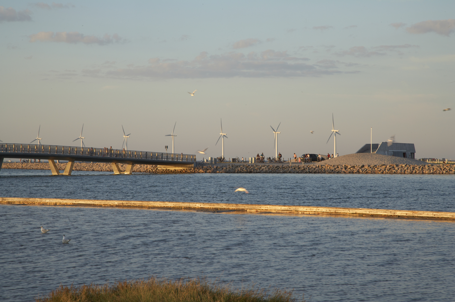Amager Strandpark NS 00326 Photo Soren Kuhn