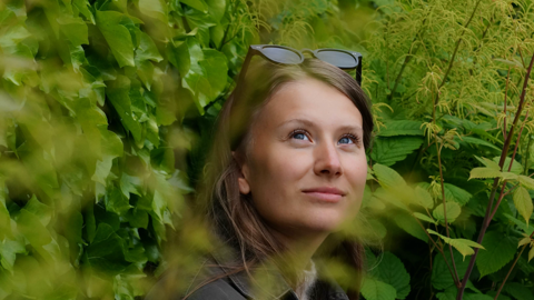 Bild LS Png