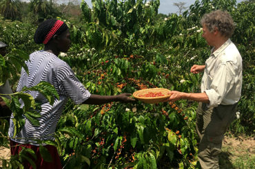 Uganda Coffe Farmers