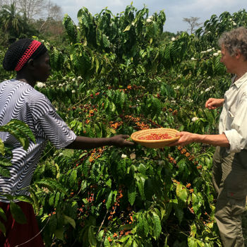 Uganda Coffe Farmers