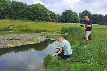 Rådgivning i biodiversitet 
