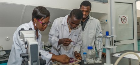 Gender and Human Rights