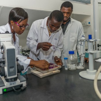 Gender and Human Rights