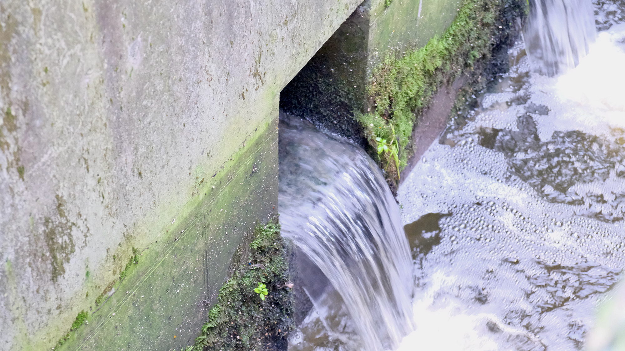 Renseanlag NS 13400 Photo Gitte Svarre Nabe Kristensen Mindre