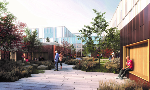 Eksempel på de grønne udenomsarealer